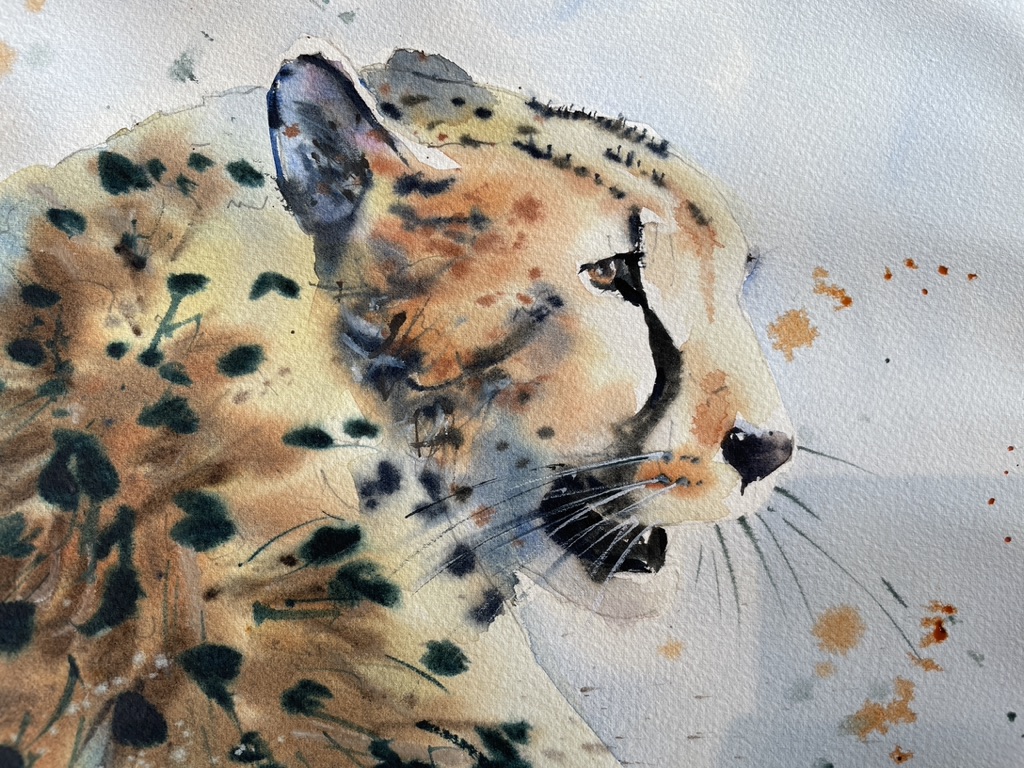 Cheater in watercolour