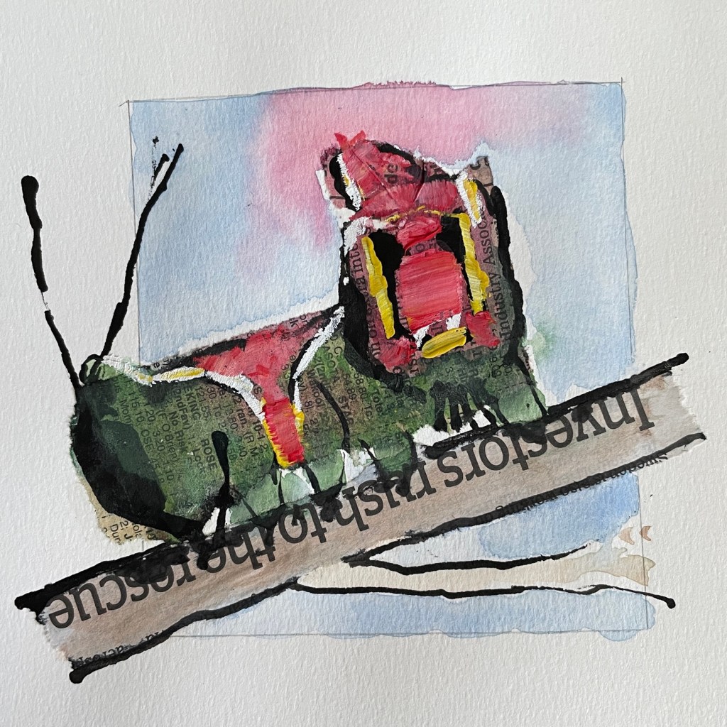 Puss moth caterpillar image