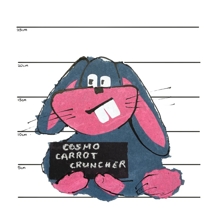 cosmo carrot cruncher image