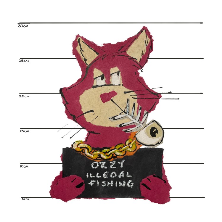 Ozzy the illegal fisher image
