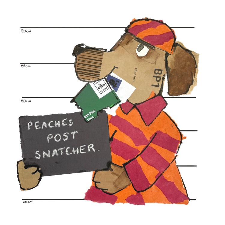 Peaches the post snatcher image