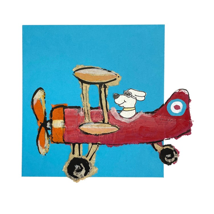 Collage dog in a biplane